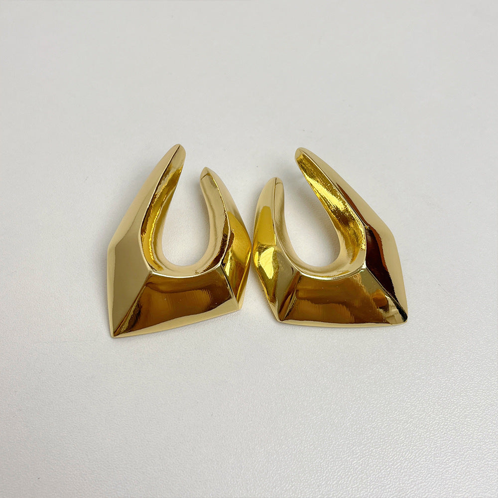 Irregular Geometric Metal Earrings | Women’s Minimalist Luxury Cold Style Jewelry