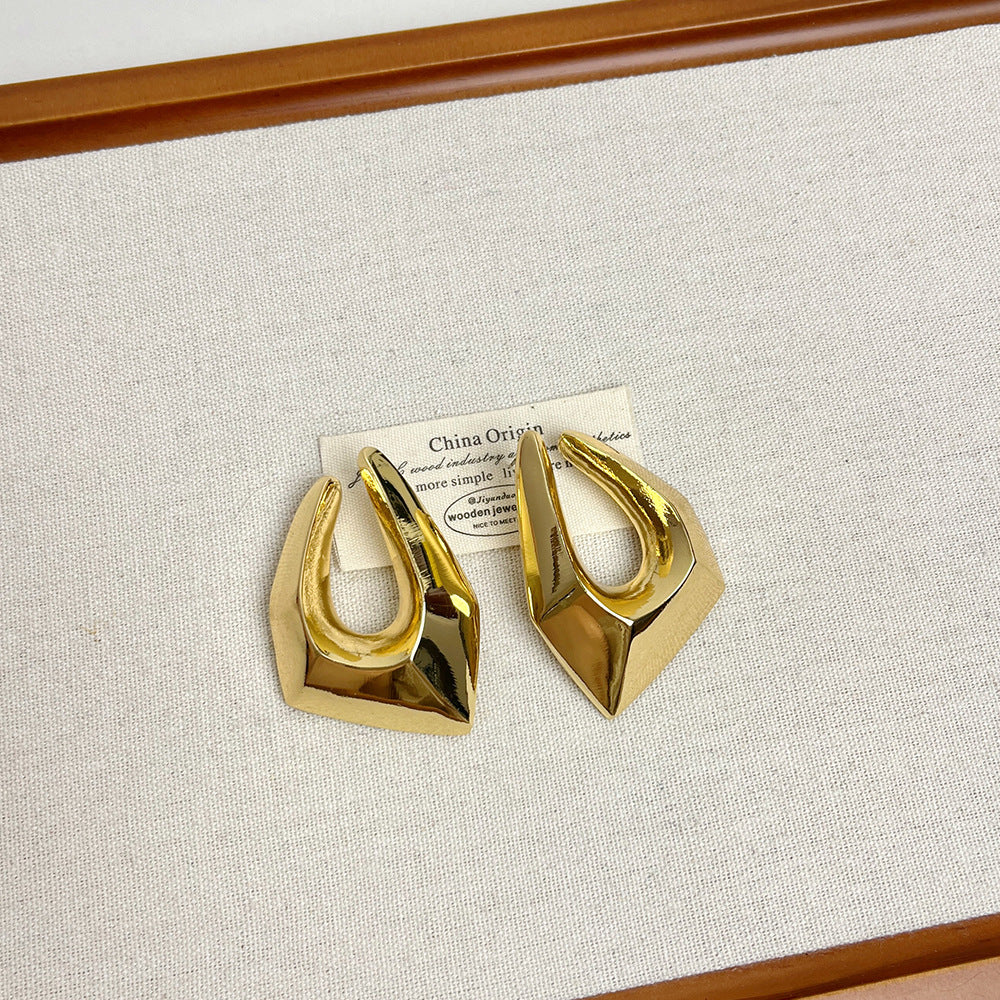 Irregular Geometric Metal Earrings | Women’s Minimalist Luxury Cold Style Jewelry