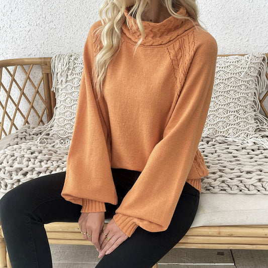 2025 Women’s Autumn Winter Floral Knit Sweater – Straight Cut, Mock Neck, Puff Sleeve European Style